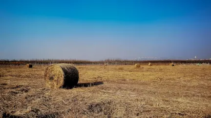 カジノ スロット シャック モバイルアプリ